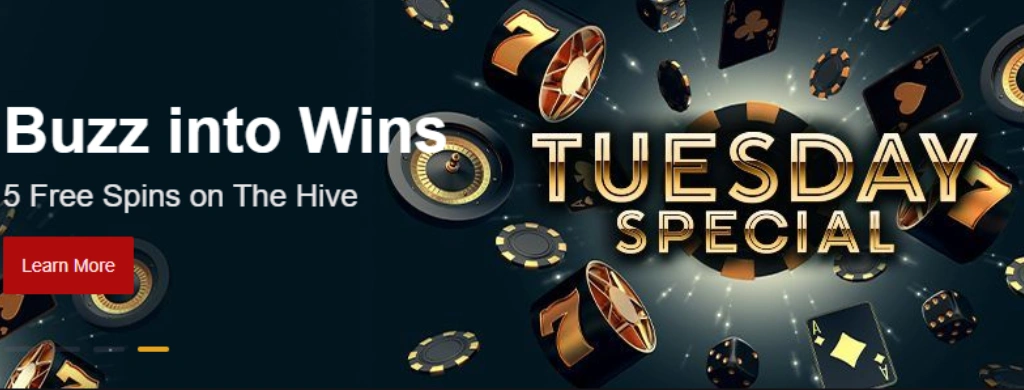 PlaceBet Casino promotional image for free spins, showing a graphic with coins, slots, and a bonus symbol.